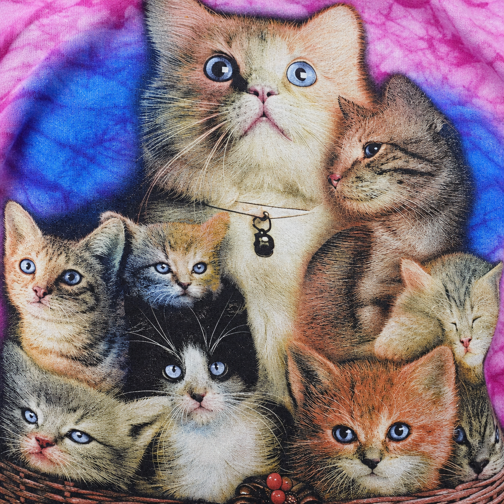 Detailaufnahme von Katzenaugen, Fell, Korb und Baumwollstoff