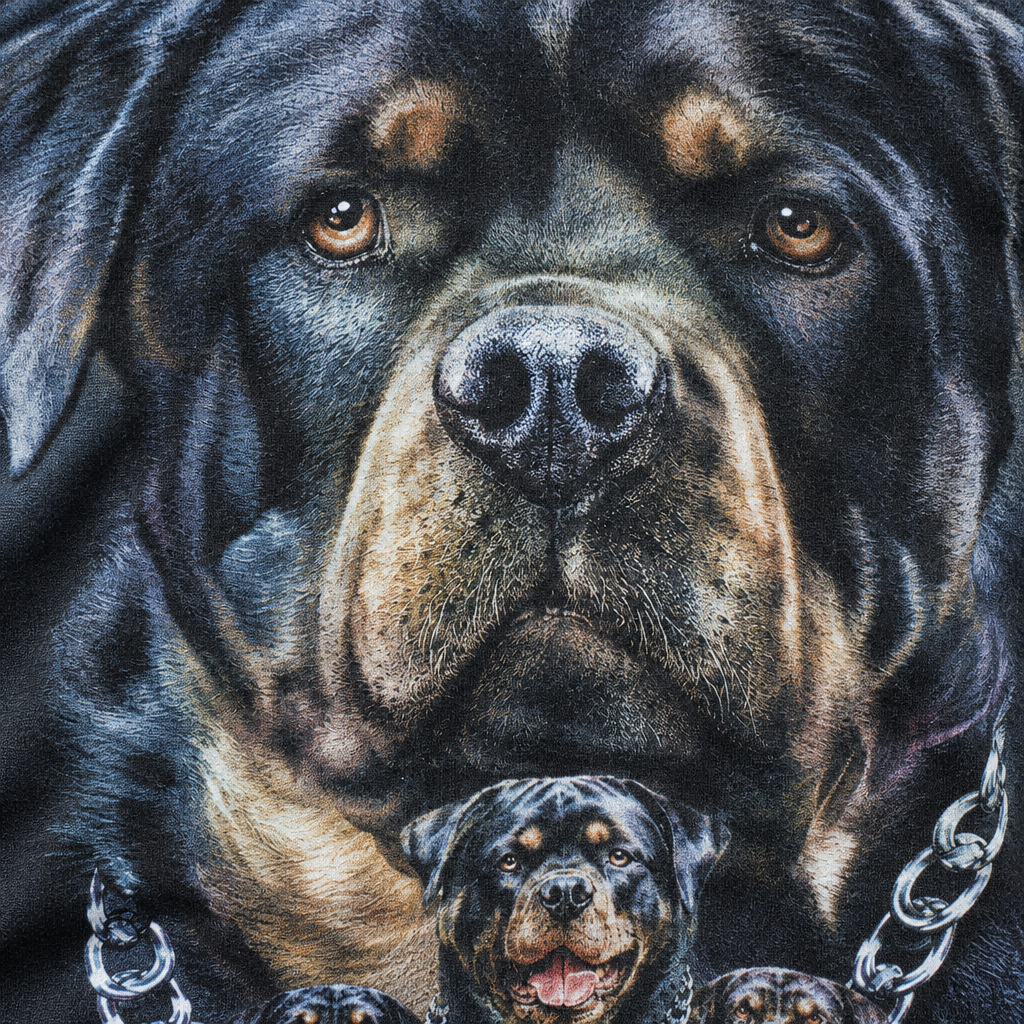 Detailaufnahme von Rottweiler-Augen, Fell, Schnauze, Ketten und Baumwollstoff